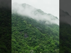 DJI FC30 FlyCart 30 привязанный беспилотный летательный аппарат, изготовленный MYUAV